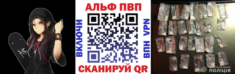 A PVP СК КРИС  Мосальск 