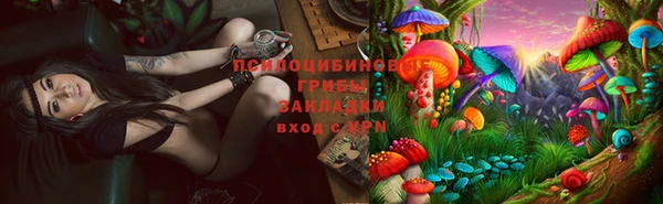 apvp Баксан