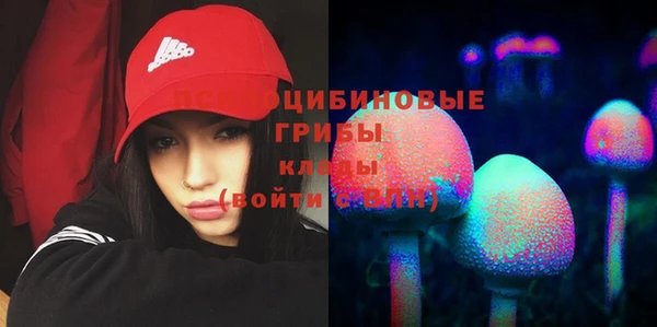 каннабис Коряжма