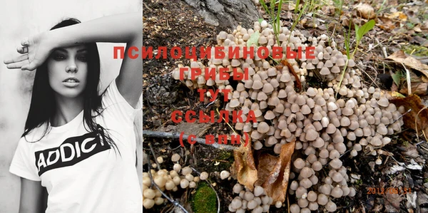 гидра Балабаново