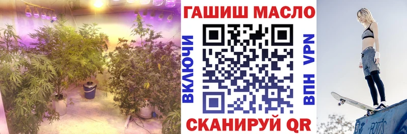 сколько стоит  Мосальск  Дистиллят ТГК THC oil 